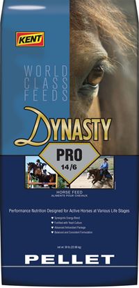 Dynasty Pro Pellet front