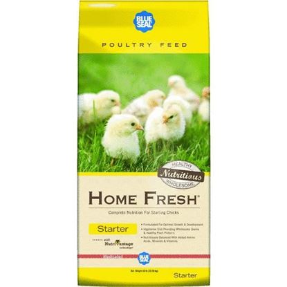 Blue Seal Home Fresh Starter 50#